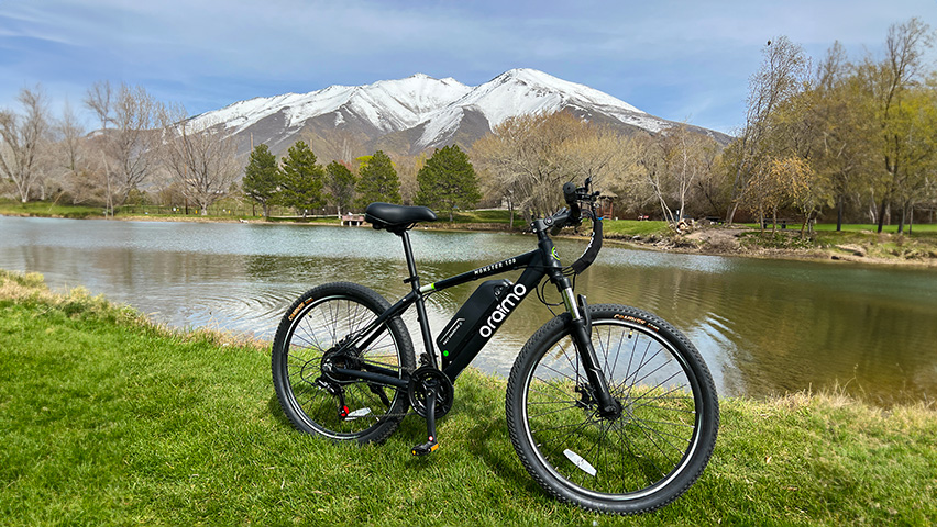 An affordable ebike that can climb with a decent range