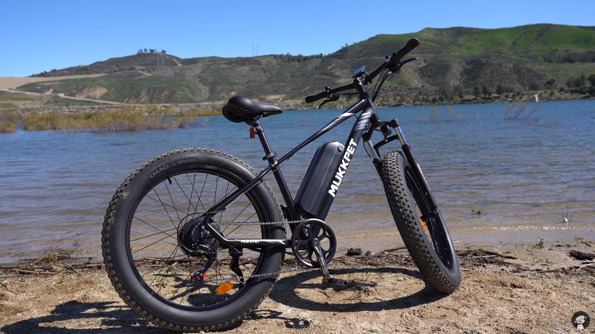 A standard looking eBike that's bumpy but goes forever