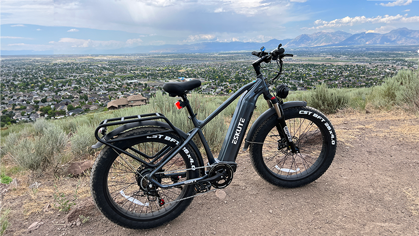 A traditional fat bike with a spritz of tech