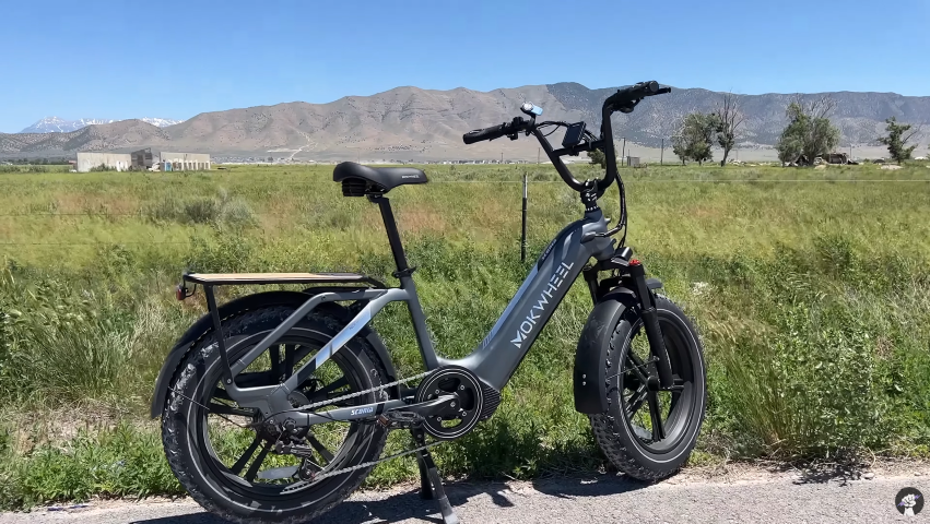 An approachable Ebike with a huge carrying capacity